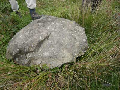 epidote.jpg